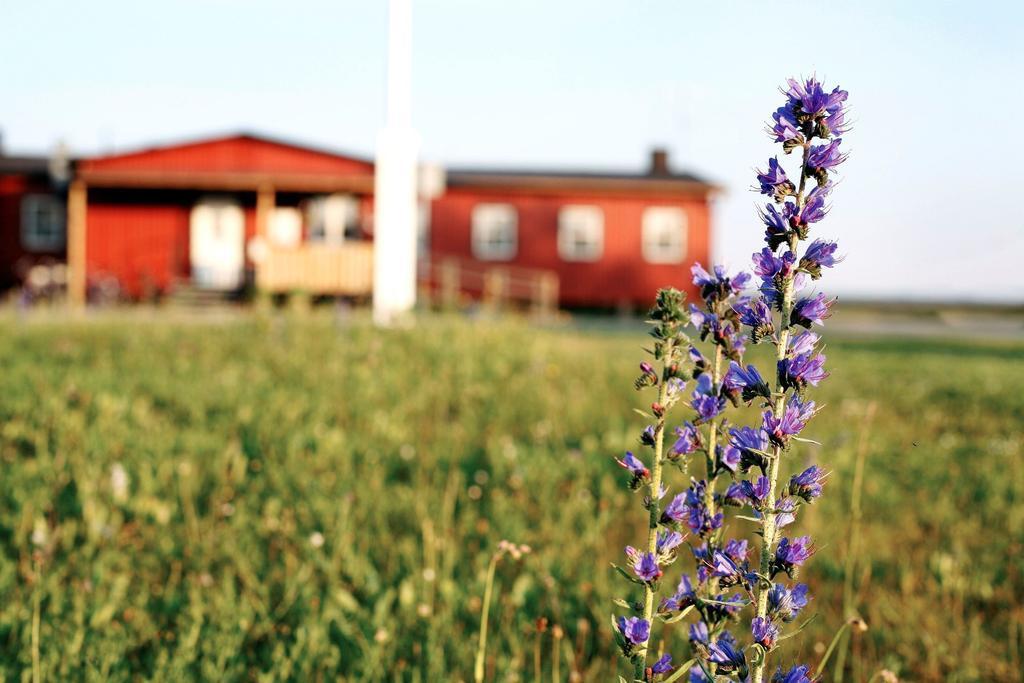 Stf Bunge Hostel Fårösund Kültér fotó